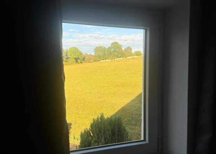 Gemuetliches Im Gruenen * Grebenhain